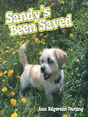 cover image of Sandy's Been Saved